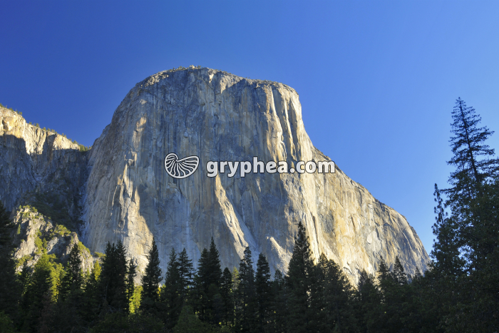 Batholite de granite - El Capitan (Yosemite NP, California, USA) - gryphea.org